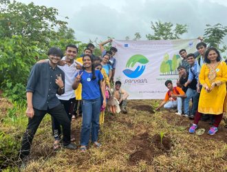 tree plantation